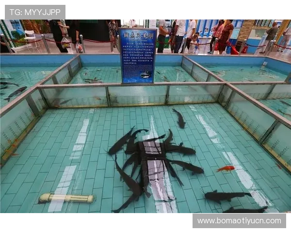 博鱼官网平台优惠活动时间安排及参与方式详解让你轻松领取福利